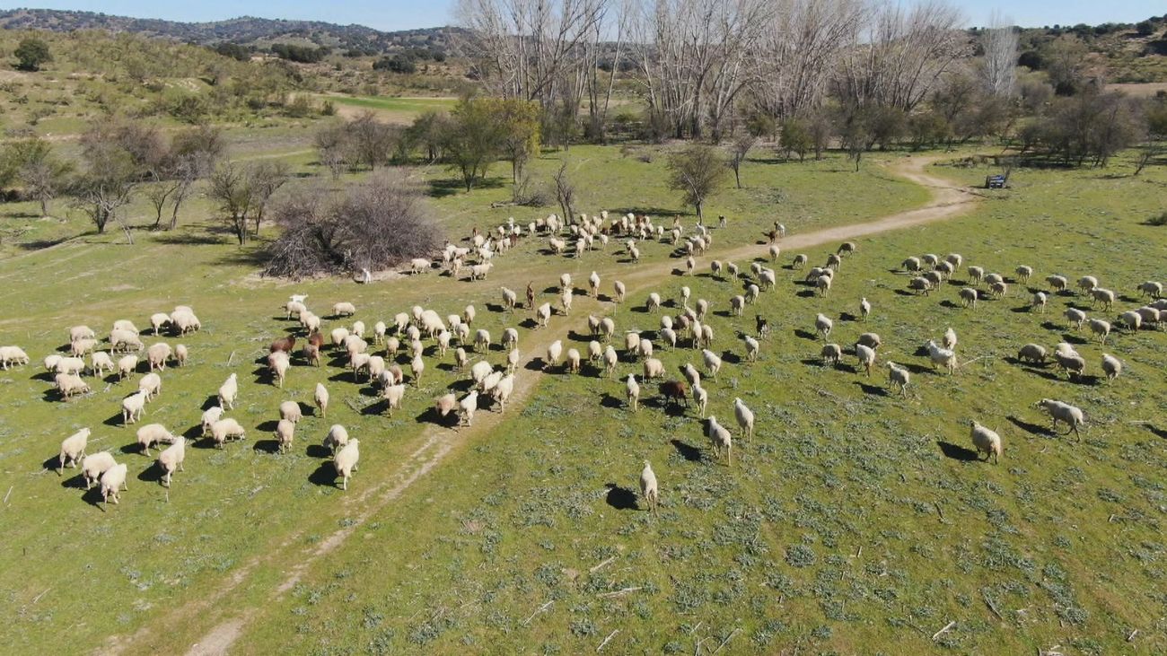 Madrid desde el aire: Cañadas y trashumancia