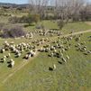 Madrid desde el aire: Cañadas y trashumancia
