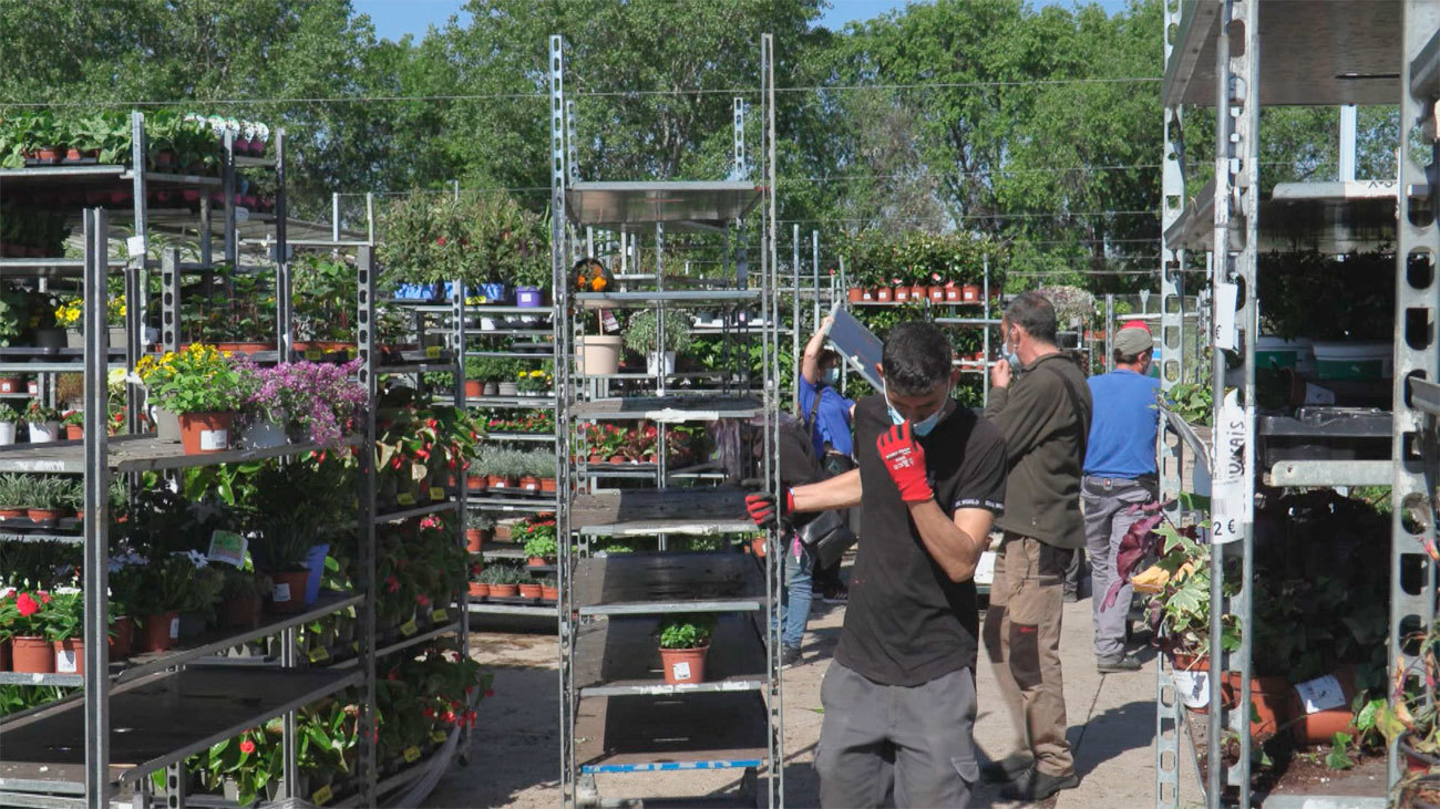 La primavera 'pos-Filomena' incrementa un 5% las ventas de plantas con flor