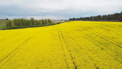 Mi cámara y yo: Paisajes de primavera
