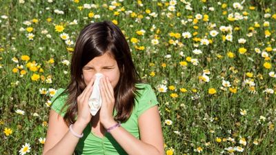 Las concentraciones de polen superarán esta semana los umbrales de riesgo en Madrid