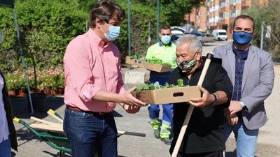 Fuenlabrada reactiva los huertos urbanos municipales para mayores tras la pandemia
