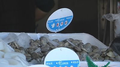 Pescado fresco en la puerta de tu casa