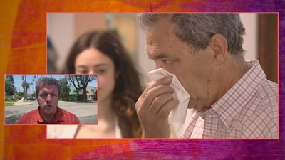 Cambios en el tiempo este fin de semana que darán un respiro a los alérgicos