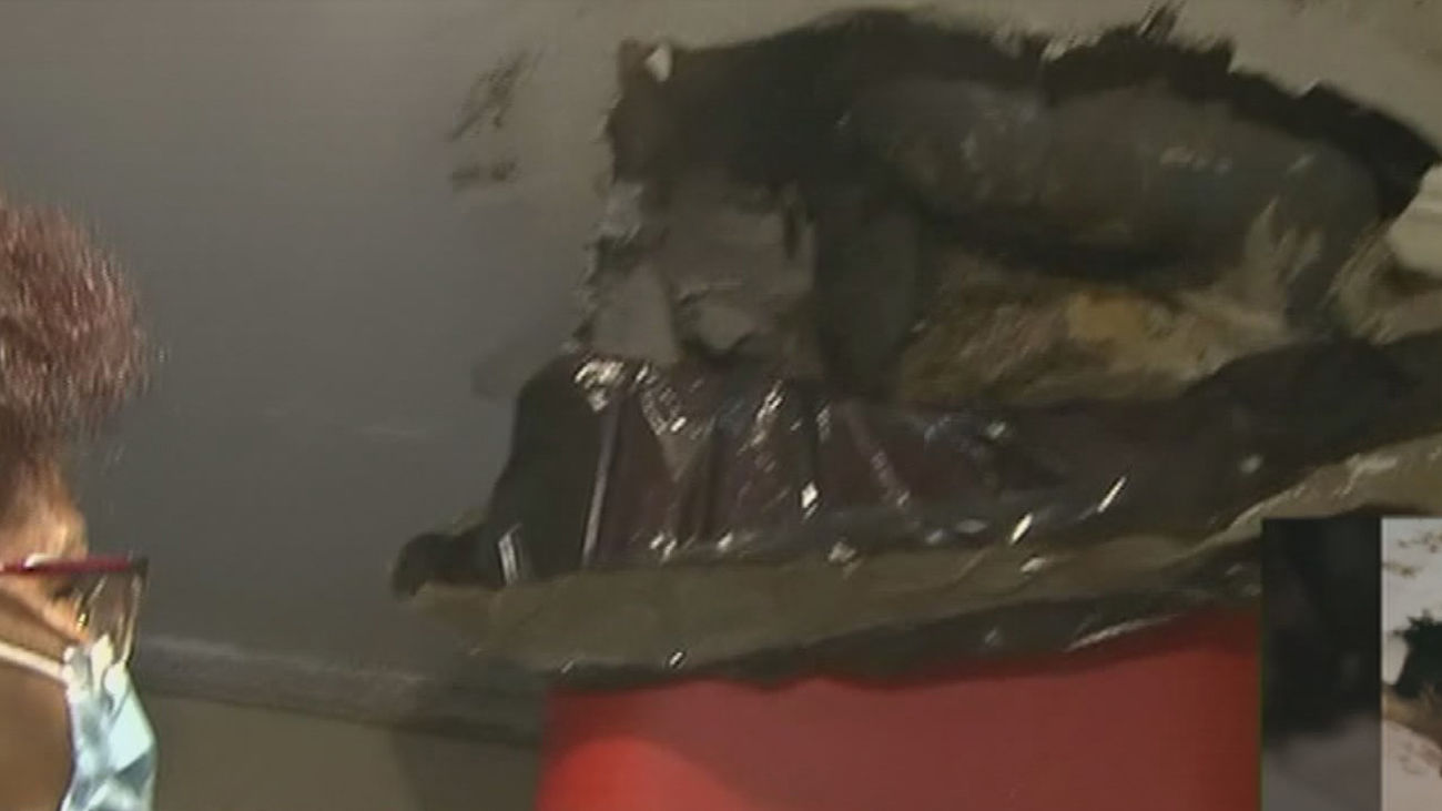 Un año cayéndole heces por un agujero en el techo del baño que no arreglan por un conflicto entre seguros