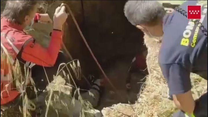 Los bomberos rescatan a un caballo en Valdemaqueda / 112 Comunidad de Madrid