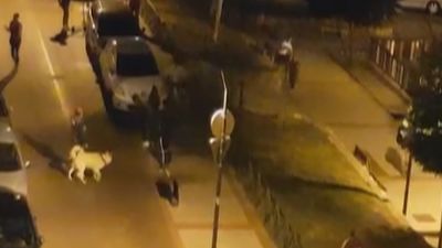 Un joven herido al ser apuñalado en una reyerta en Alcorcón