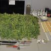 Nueve detenidos y desmanteladas dos plantaciones de marihuana en Móstoles