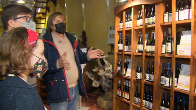 El enoturismo, una opción de futuro para el sector turístico madrileño