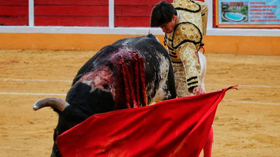 Fuenlabrada celebrará sus festejos taurinos del 9 al 12 de octubre