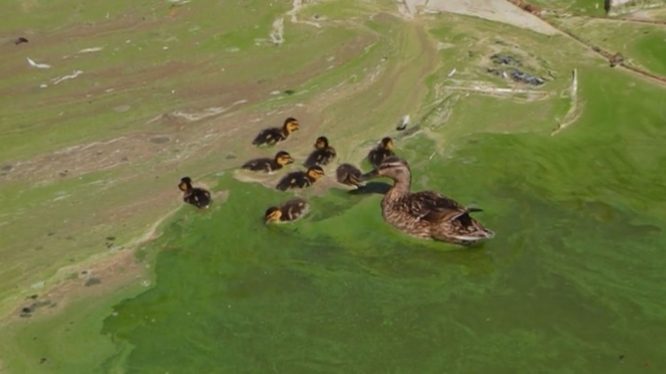 Los vecinos de Getafe denuncian el agua contaminada del Parque de la Alhóndiga