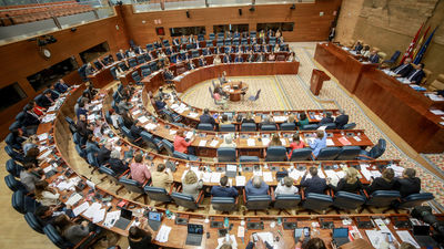 El PP acuerda con Vox una reforma para reducir el número de diputados en la Asamblea de Madrid