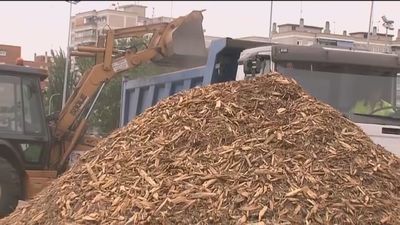 Móstoles retira montañas de serrín tras la denuncia de los vecinos en Telemadrid