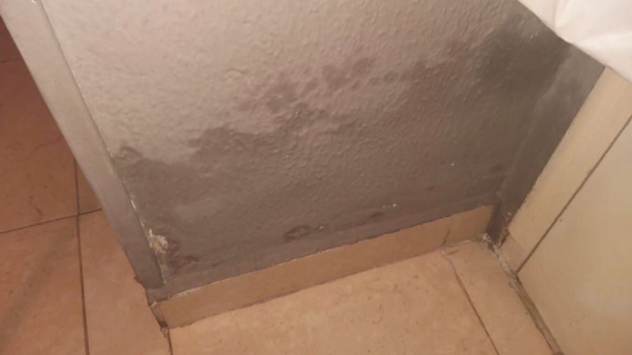 Cómo vivir en Arganda 11 años con humedades