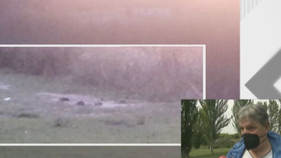 Ratas como conejos en un parque de Valdebernardo atemorizan a los vecinos