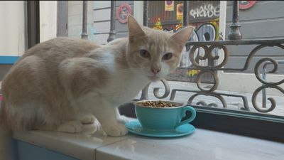 Buenos Días Madrid 28.05.2021 (8.00 - 9.00)