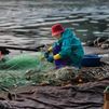 Galicia busca a jóvenes pescadores