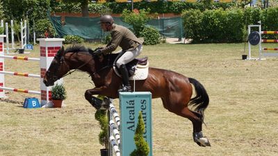 Concurso Hípico Nacional con más de 110 caballos en centro deportivo Militar Alcalá