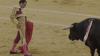 Gonzalo Caballero triunfa en su reaparición junto a Enrique Ponce en Navalcarnero (parte 2)