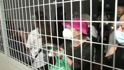 Regresa la pesadilla okupa a Arganda: "Ahora han entrado en un negocio"