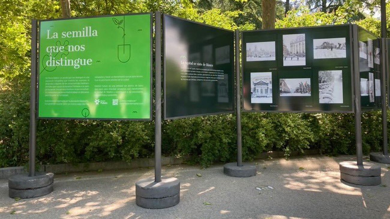 Más de una veintena de empresas ya han donado árboles para el proyecto Replanta Madrid