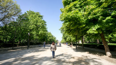 El Retiro y ocho parques mantendrán zonas balizadas por fuertes rachas de viento