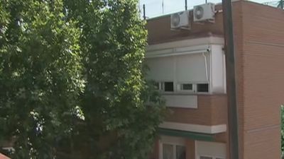 Un árbol sin podar, el vecino más molesto de Vallecas