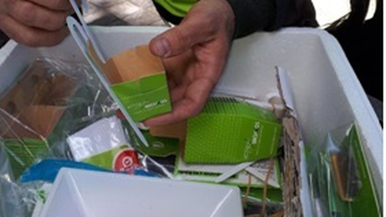 Leganés libera medio millón de insectos para luchar contra las plagas en los árboles