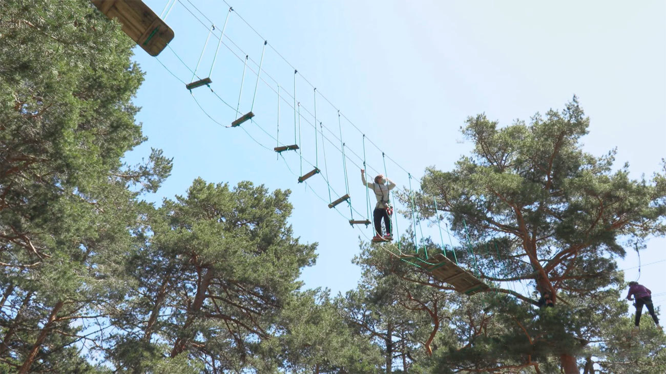 Mi cámara y yo: Vivir de los árboles