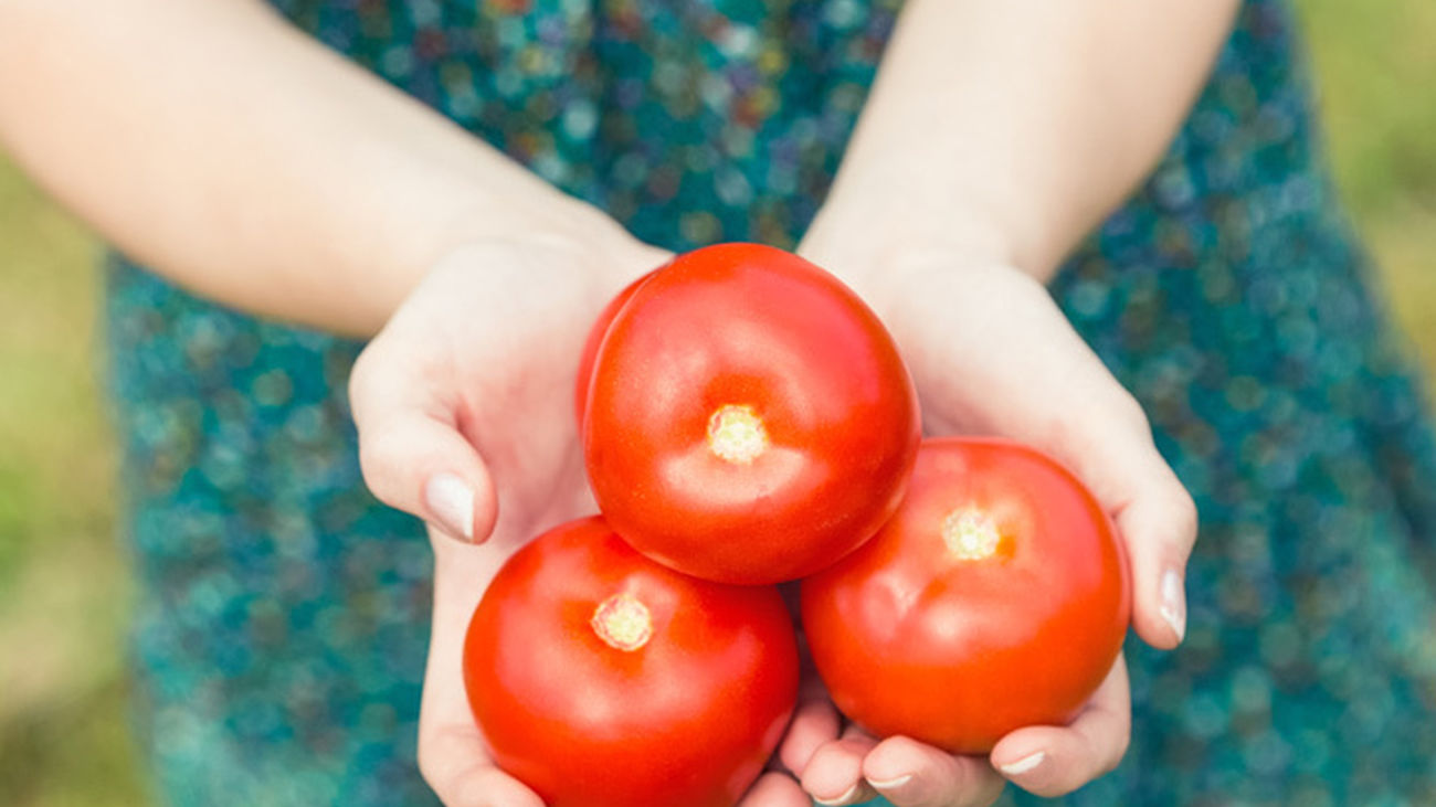 Alimentos para cuidar nuestra piel