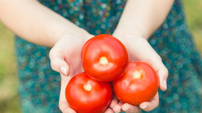 Alimentos para cuidar nuestra piel
