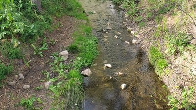 Alcalá acomete mejoras en el arroyo  Camarmilla donde proyecta construir una pasarela peatonal