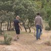 Descubrimos el bosque de los Alcornoques de Tres Cantos