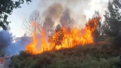 Dos jóvenes provocan un incendio en el parque Adolfo Suárez de Valdemoro
