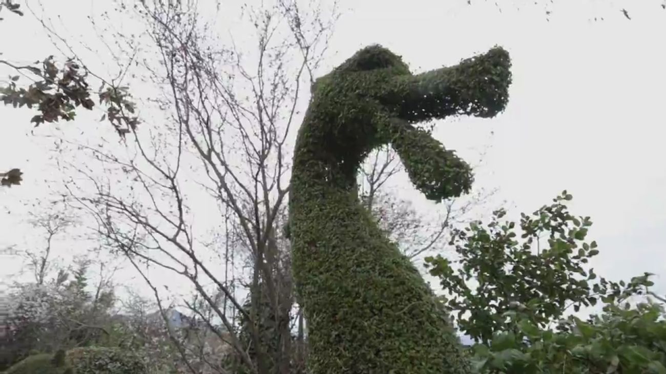 La mágica naturaleza del Bosque Encantado de San Martín de Valdeiglesias