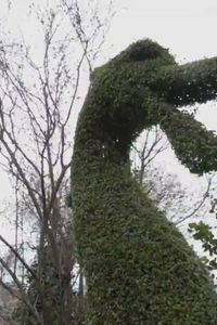 La mágica naturaleza del Bosque Encantado de San Martín de Valdeiglesias