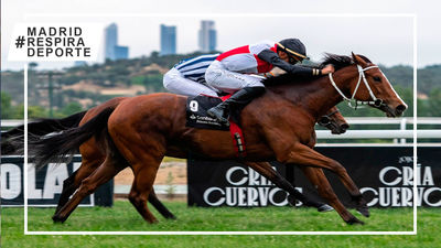 Doblete de Sousa con 'Maracay' y 'Casilda' en el Hipódromo de La Zarzuela