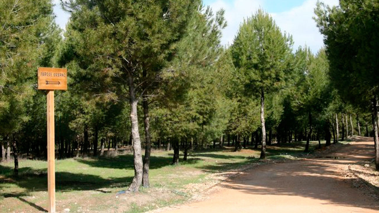 Parque del Humedal de Coslada