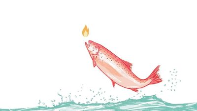 Regresa el  Festival Internacional de Cine de Madrid, renovado y con Fellini