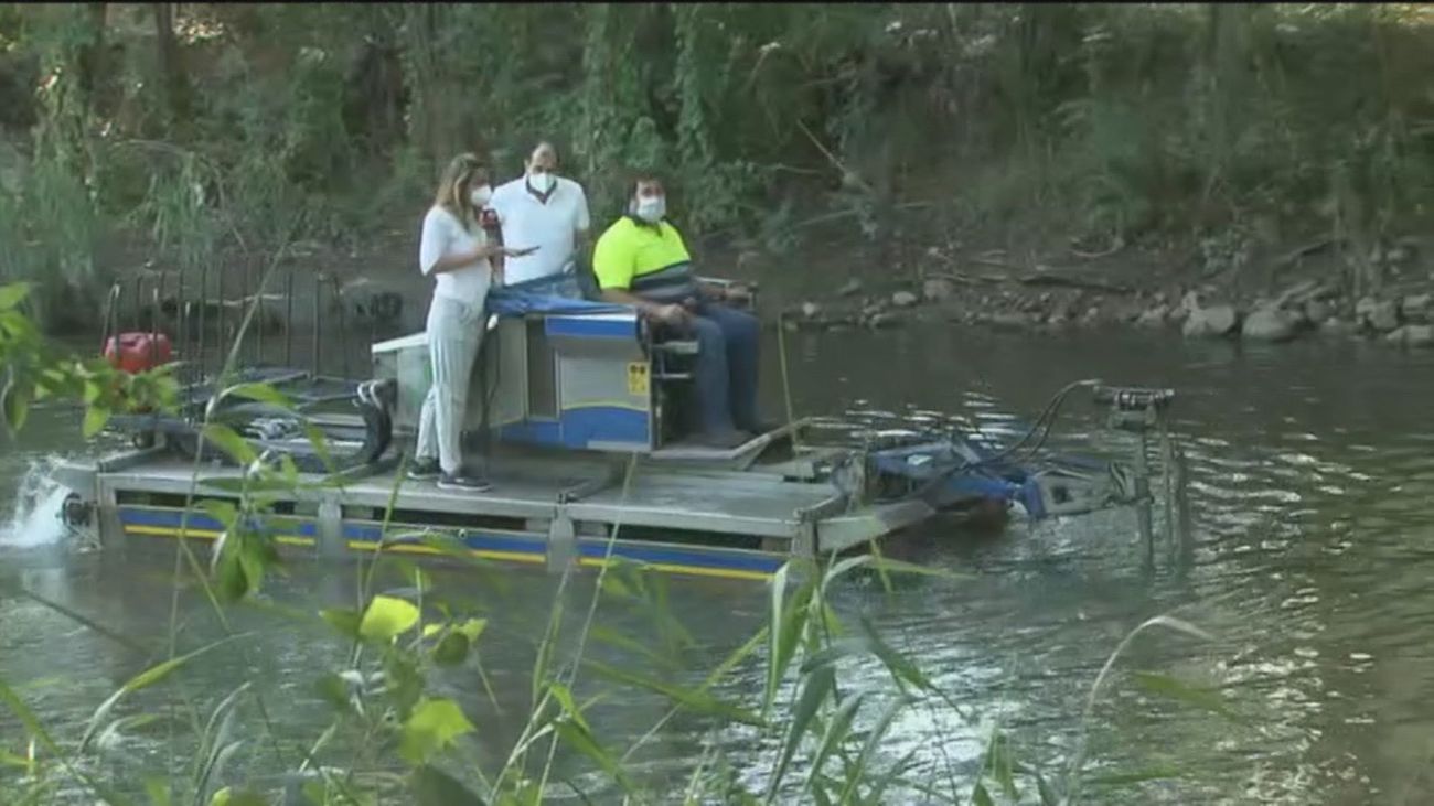 Guerra contra la mosca negra en Madrid a bordo del barco anfibio que limpia las riberas del Henares