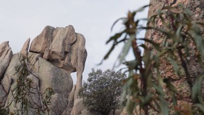 Cerrado el acceso a La Pedriza fines de semana y festivos de 10.30 a 16 horas