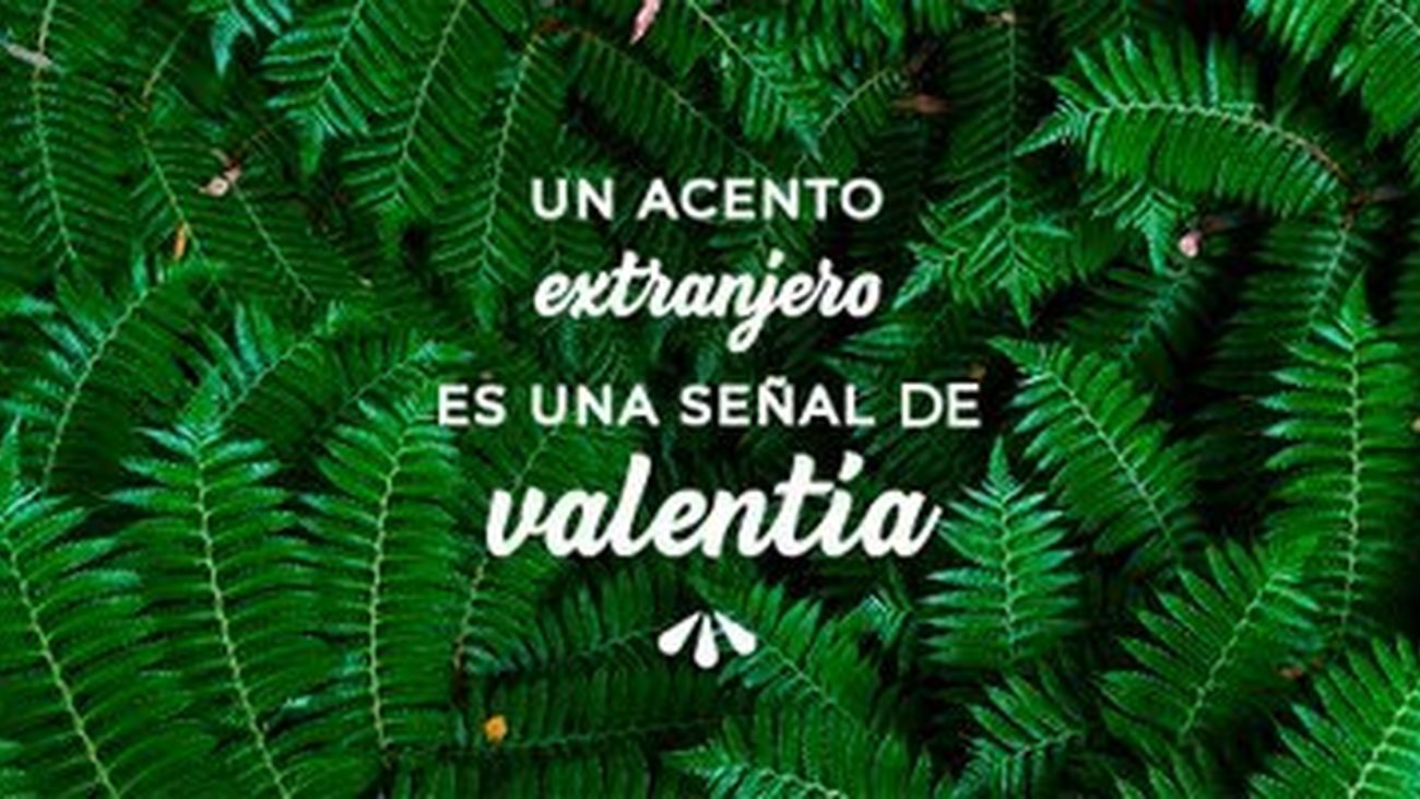 YouTOOproject, la empresa que nació de una página de Facebook