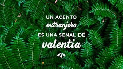 YouTOOproject, la empresa que nació de una página de Facebook