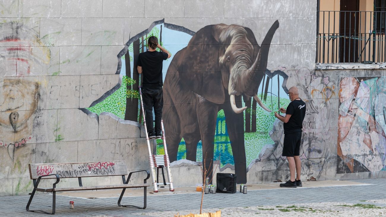 Se instala una escuela de Tik Tok en la Plaza Nelson Mandela