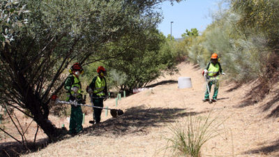Las Rozas desbrozará más de 3 millones  de metros cuadrados este verano para evitar incendios