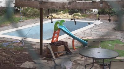 Olivia y Anna se suman a la triste lista de la 'violencia vicaria' en España