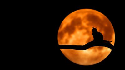 Tres tenebrosas leyendas de la Sierra de Guadarrama