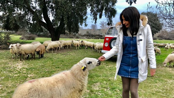 Carmen y una oveja colmenareña / Redacción