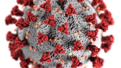 Descubren el posible detonante de los trombos con la vacuna de AstraZeneca