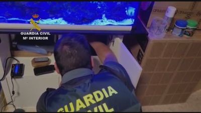 Detenida en El Álamo por vender drogas a jóvenes en su tienda de golosinas